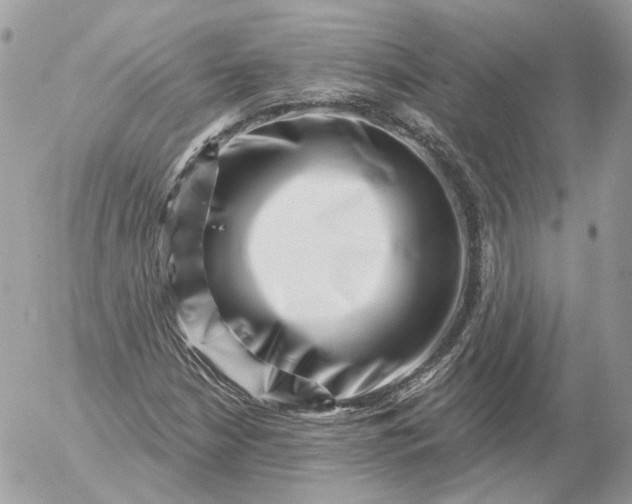 X0000052931210200507221113