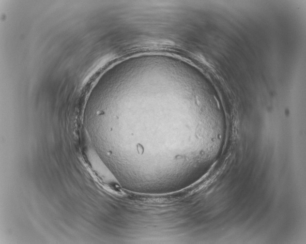 X0000052931211200507221113