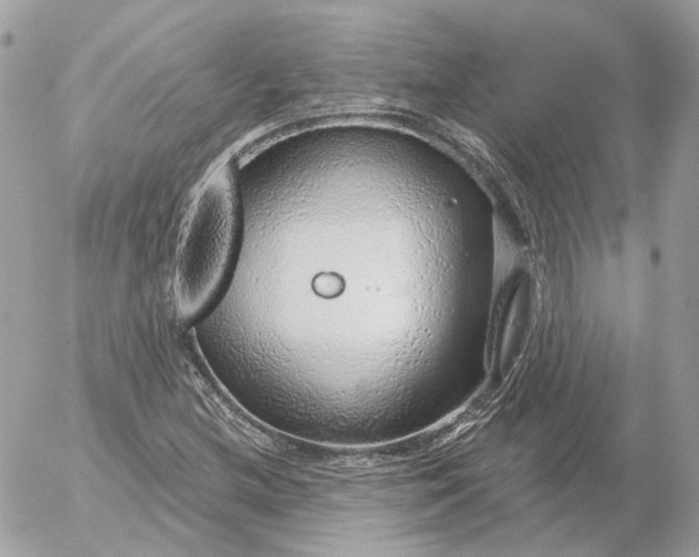 X0000052931212200507221113