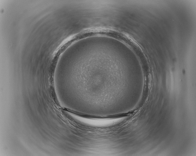 X0000052931213200507221113