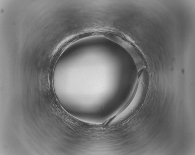 X0000052931214200507221113