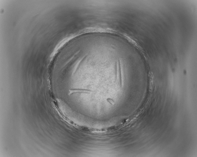 X0000052931215200507221113