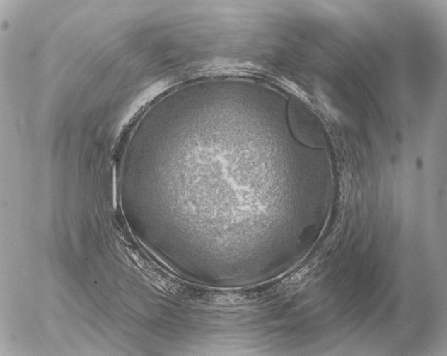 X0000052931219200507221113