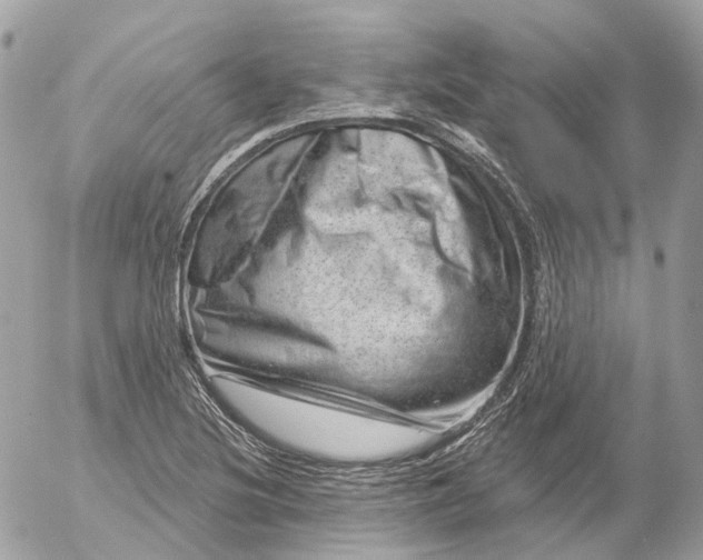 X0000052931220200507221113