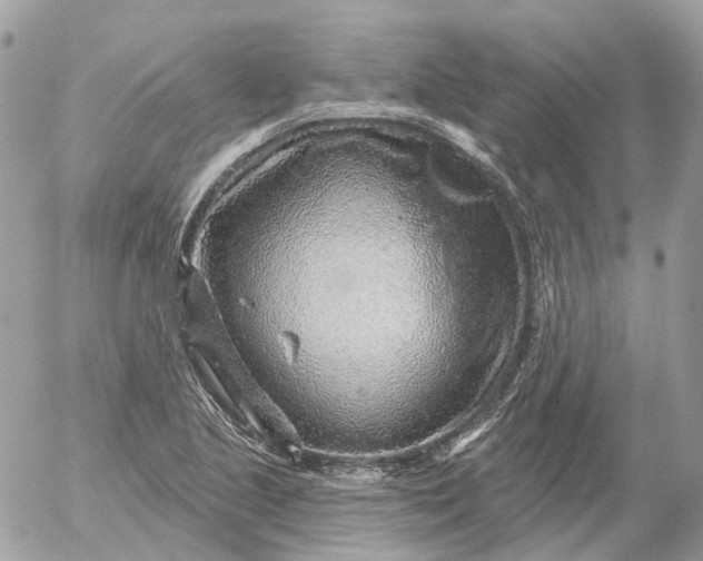 X0000052931221200507221113