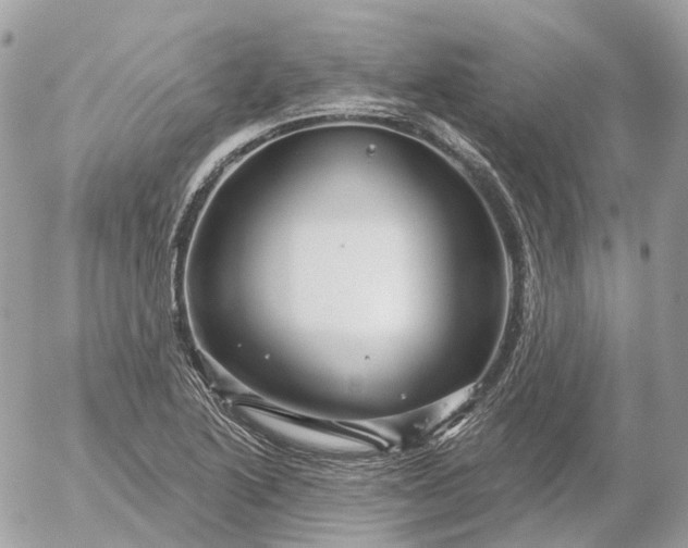 X0000052931222200507221113