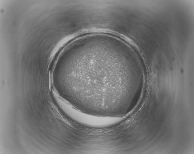 X0000052931223200507221113