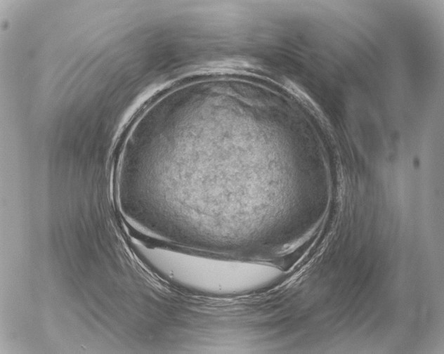 X0000052931224200507221113