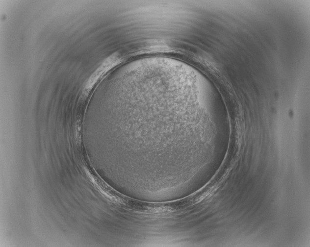 X0000052931225200507221113