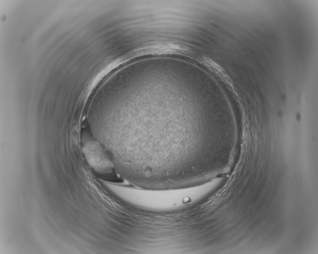 X0000052931226200507221113