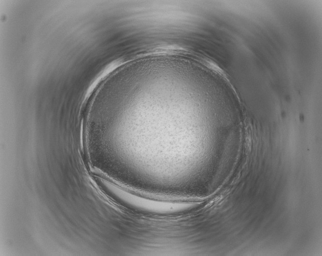 X0000052931227200507221113