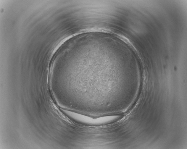 X0000052931228200507221113