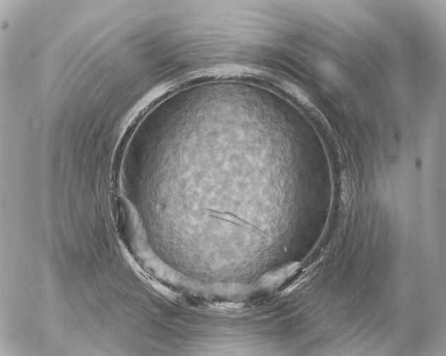 X0000052931229200507221113