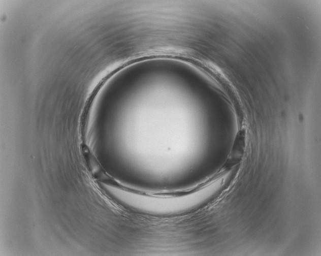 X0000052931230200507221113