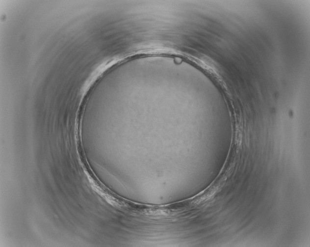 X0000052931231200507221113