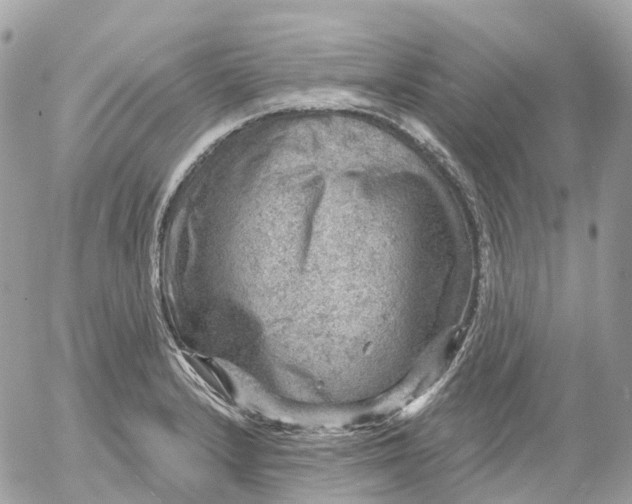 X0000052931232200507221113