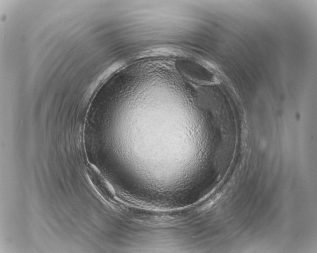 X0000052931233200507221113