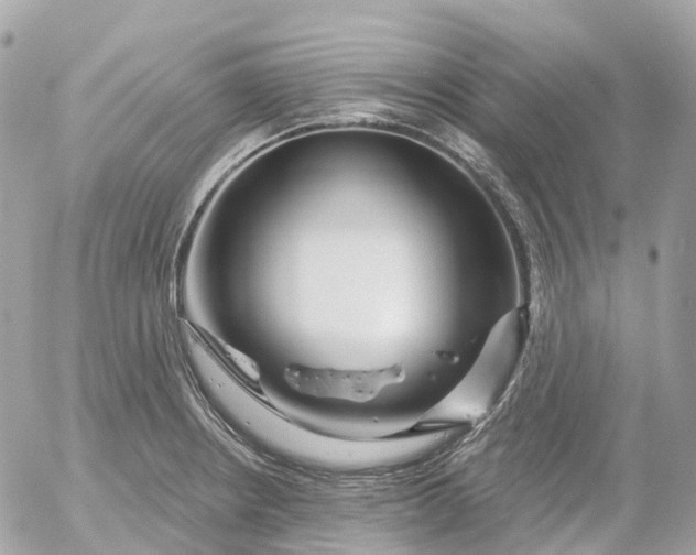 X0000052931234200507221113