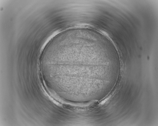 X0000052931235200507221113