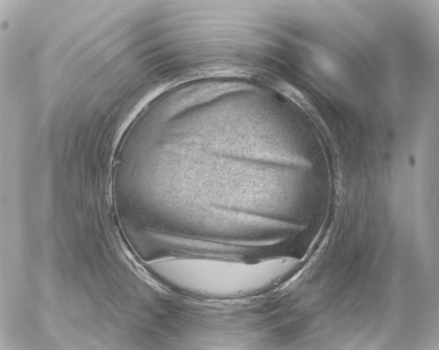 X0000052931236200507221113