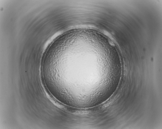 X0000052931237200507221113