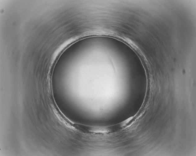 X0000052931238200507221113