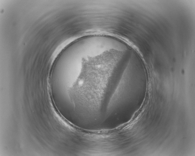 X0000052931239200507221113