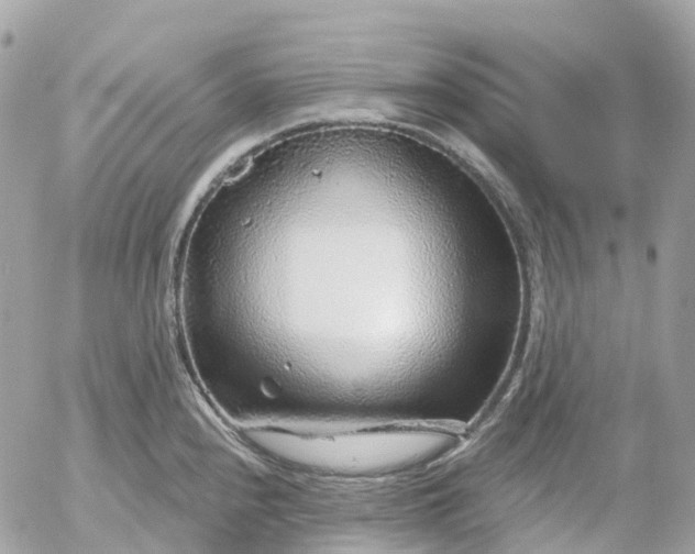 X0000052931240200507221113