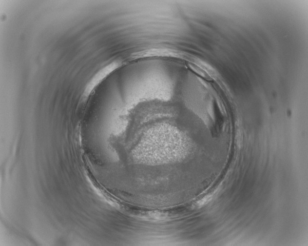 X0000052931241200507221113