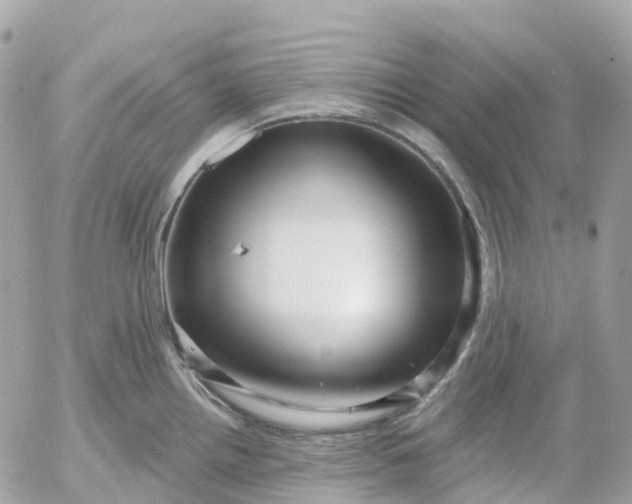 X0000052931242200507221113