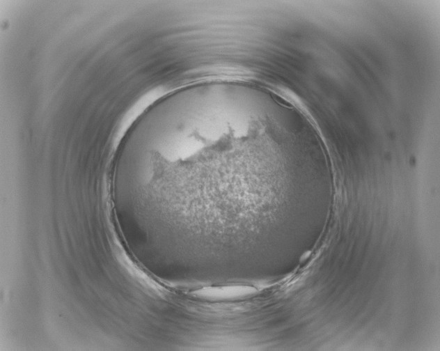 X0000052931243200507221113