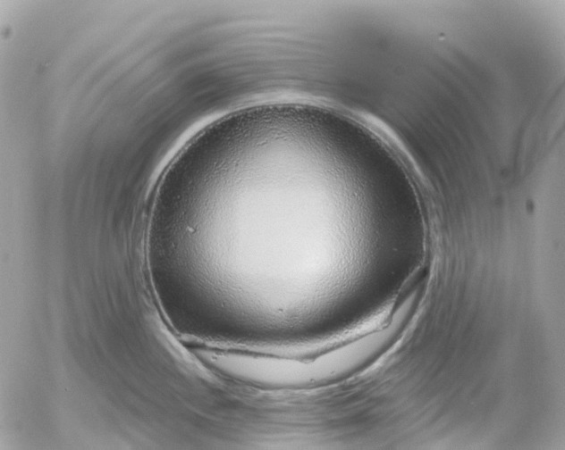 X0000052931244200507221113