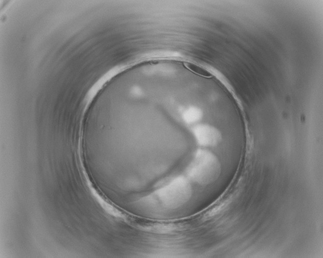 X0000052931245200507221113