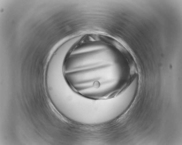 X0000052931246200507221113