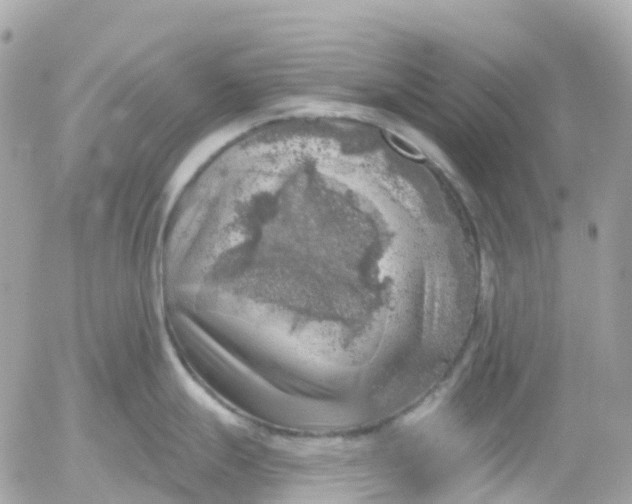 X0000052931247200507221113