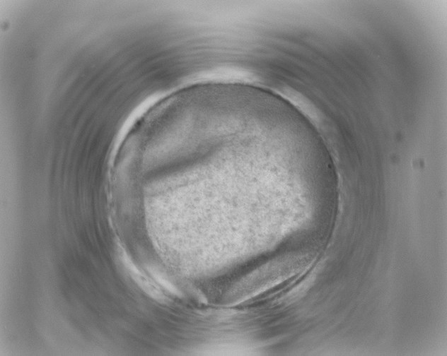 X0000052931248200507221113