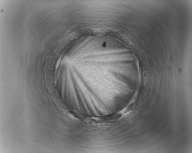 X0000052931249200507221113