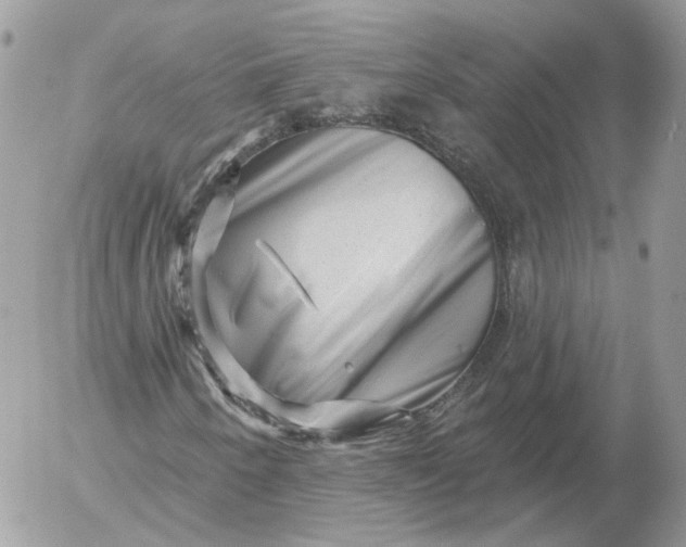 X0000052931250200507221113