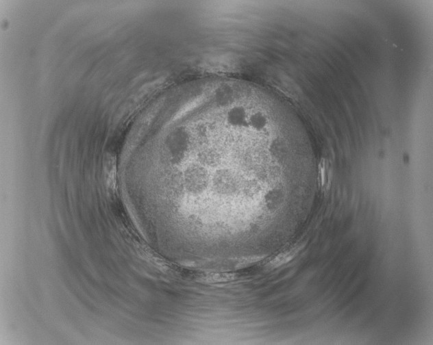 X0000052931251200507221113