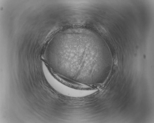 X0000052931252200507221113