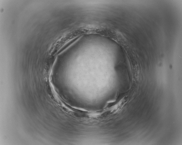 X0000052931253200507221113