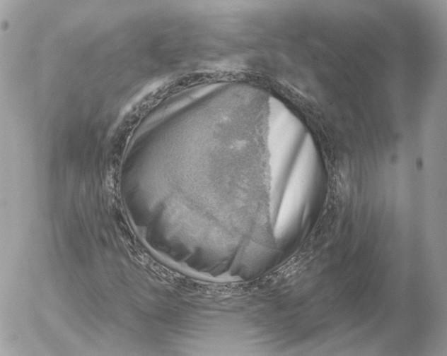 X0000052931254200507221113