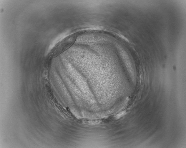 X0000052931255200507221112