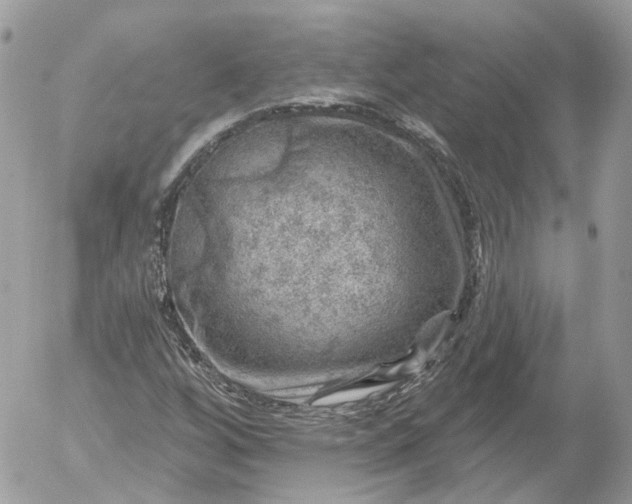 X0000052931256200507221112