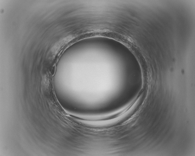 X0000052931257200507221112