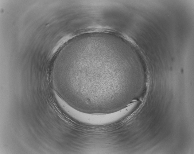 X0000052931259200507221112