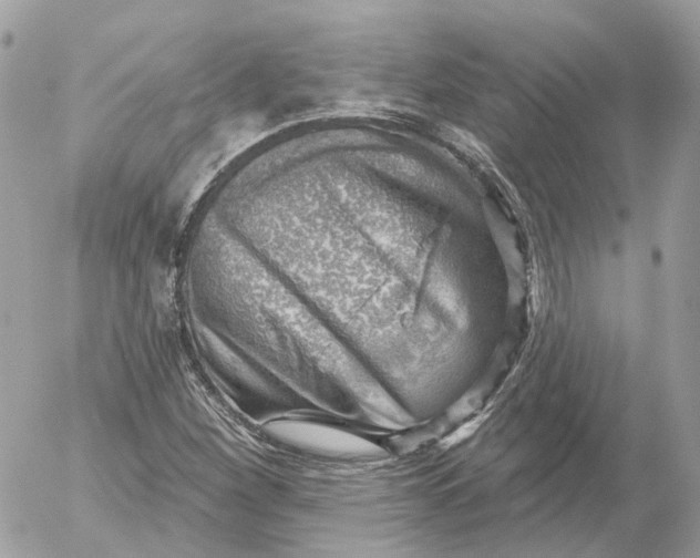 X0000052931260200507221112