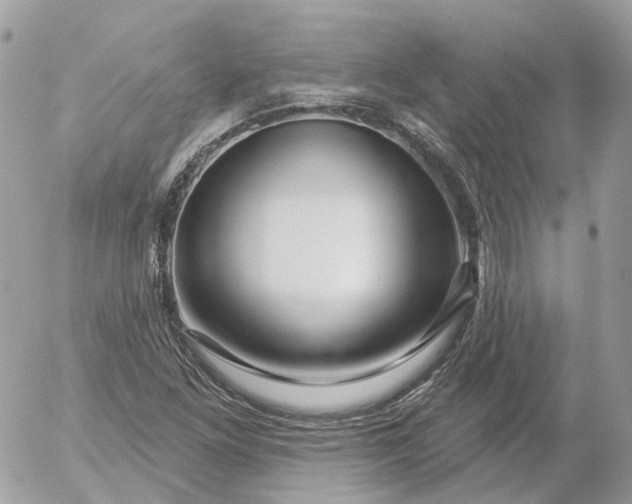 X0000052931261200507221112