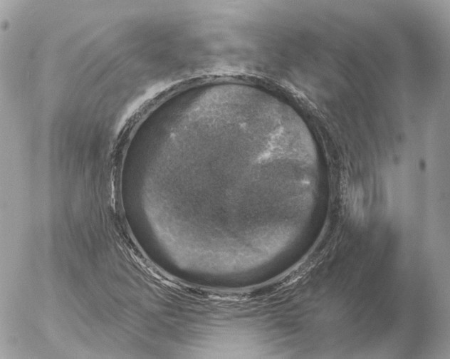 X0000052931262200507221112