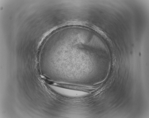 X0000052931264200507221112